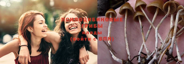 2c-b Михайловка