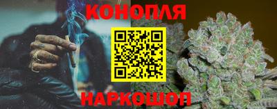 Альфа ПВП Аргун