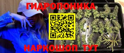 ГАЛЛЮЦИНОГЕННЫЕ ГРИБЫ Апрелевка