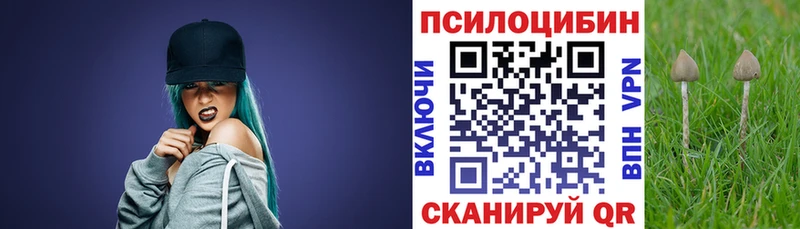 Псилоцибиновые грибы Psilocybe  Чебоксары 