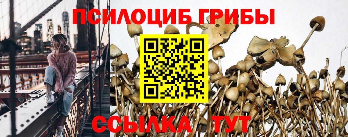 Галлюциногенные грибы мухоморы Чебоксары