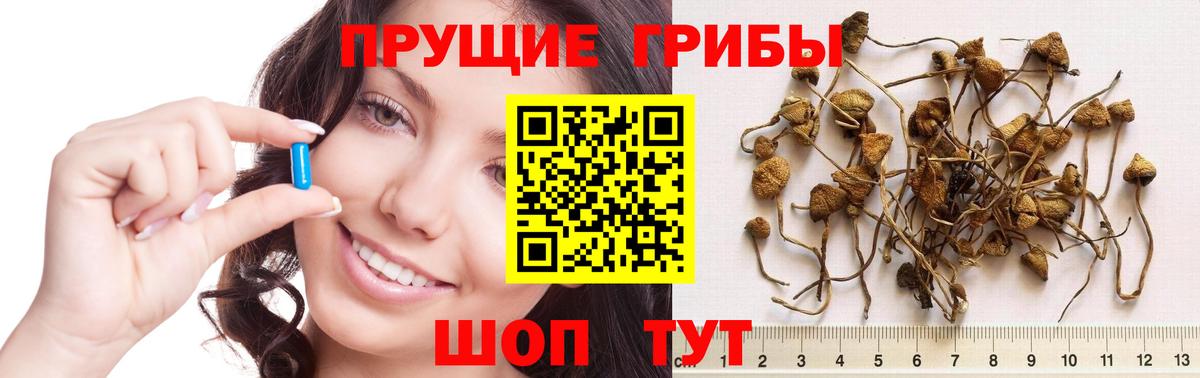 Галлюциногенные грибы мицелий  Галлюциногенные грибы Psilocybe  Вход с VPN  закладки  Чебоксары 