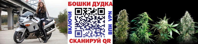 Шишки марихуана MAZAR  купить наркотики сайты  Чебоксары 